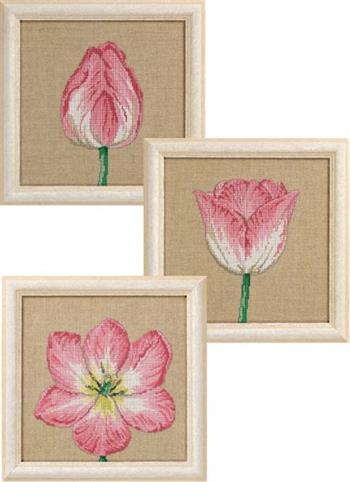 Tulipan i 3 designs